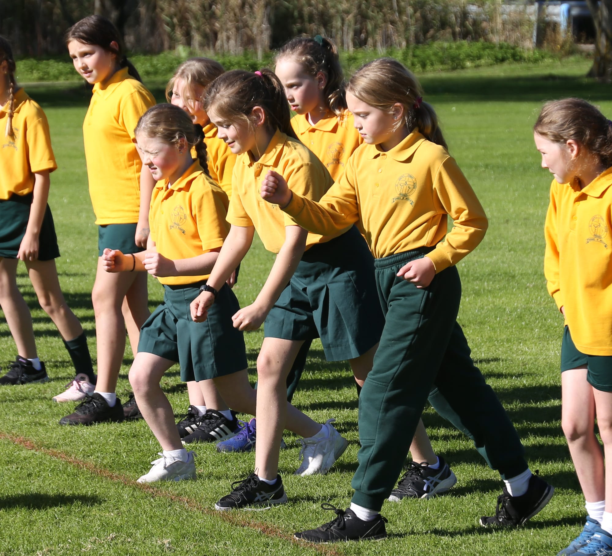 On their marks at the St Joseph's Primary School cross country are (front, from left)  Sophie, Mia and Isla.