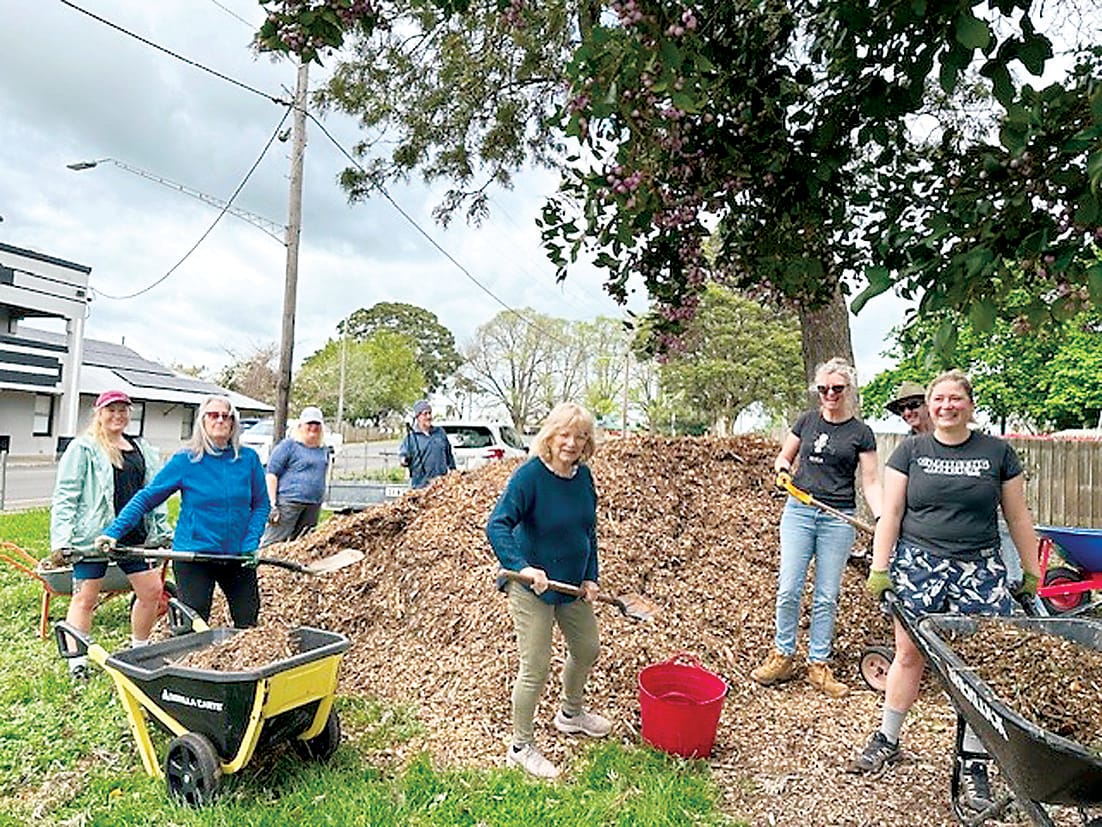 From small things, big things grow