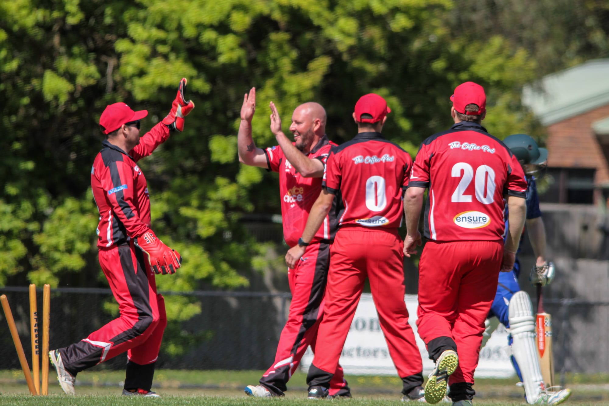 Gulls grab win over Warriors