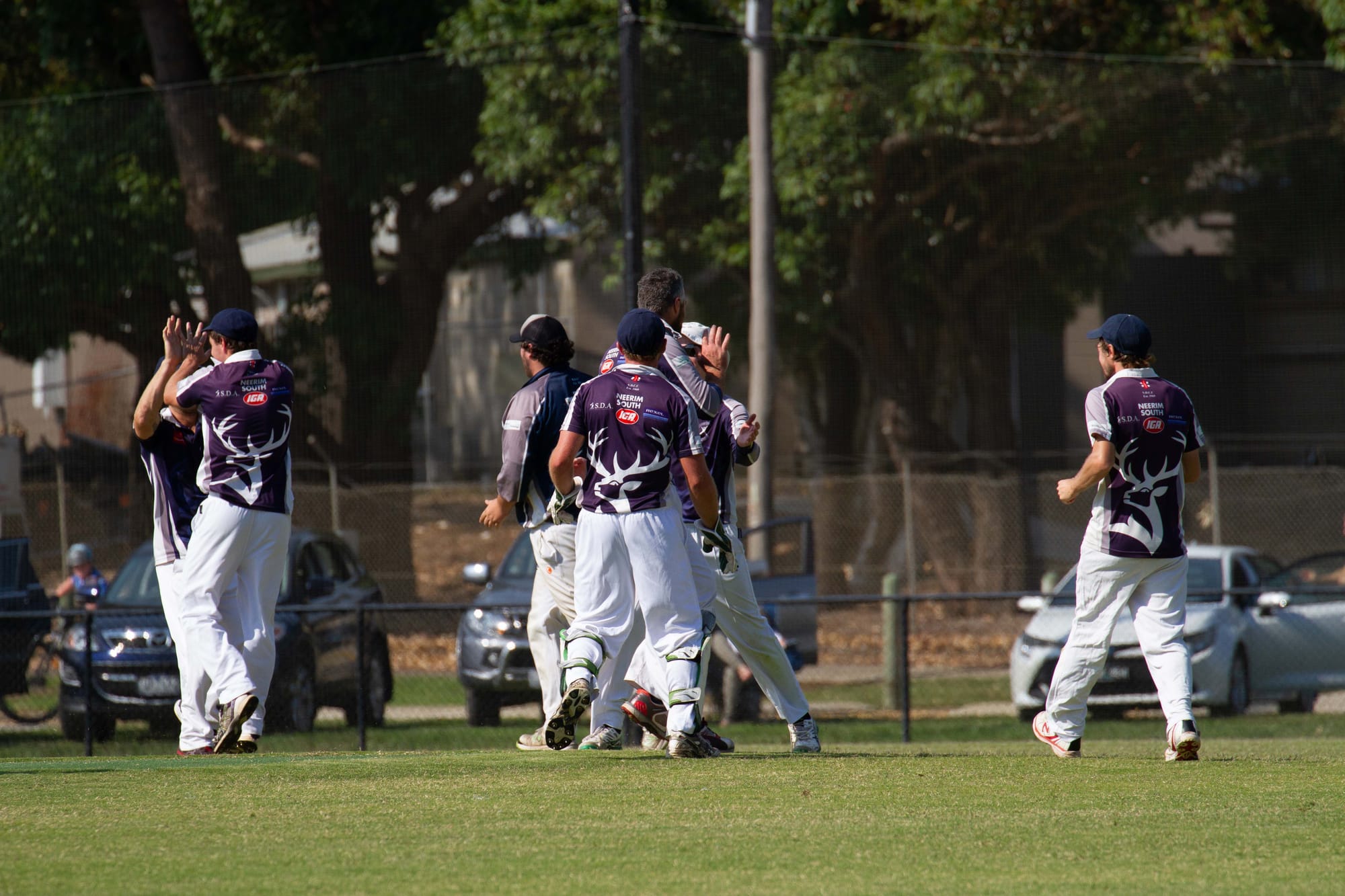 Cricket Div 1 Western Park Vs. Neerim District - 12.03.2022