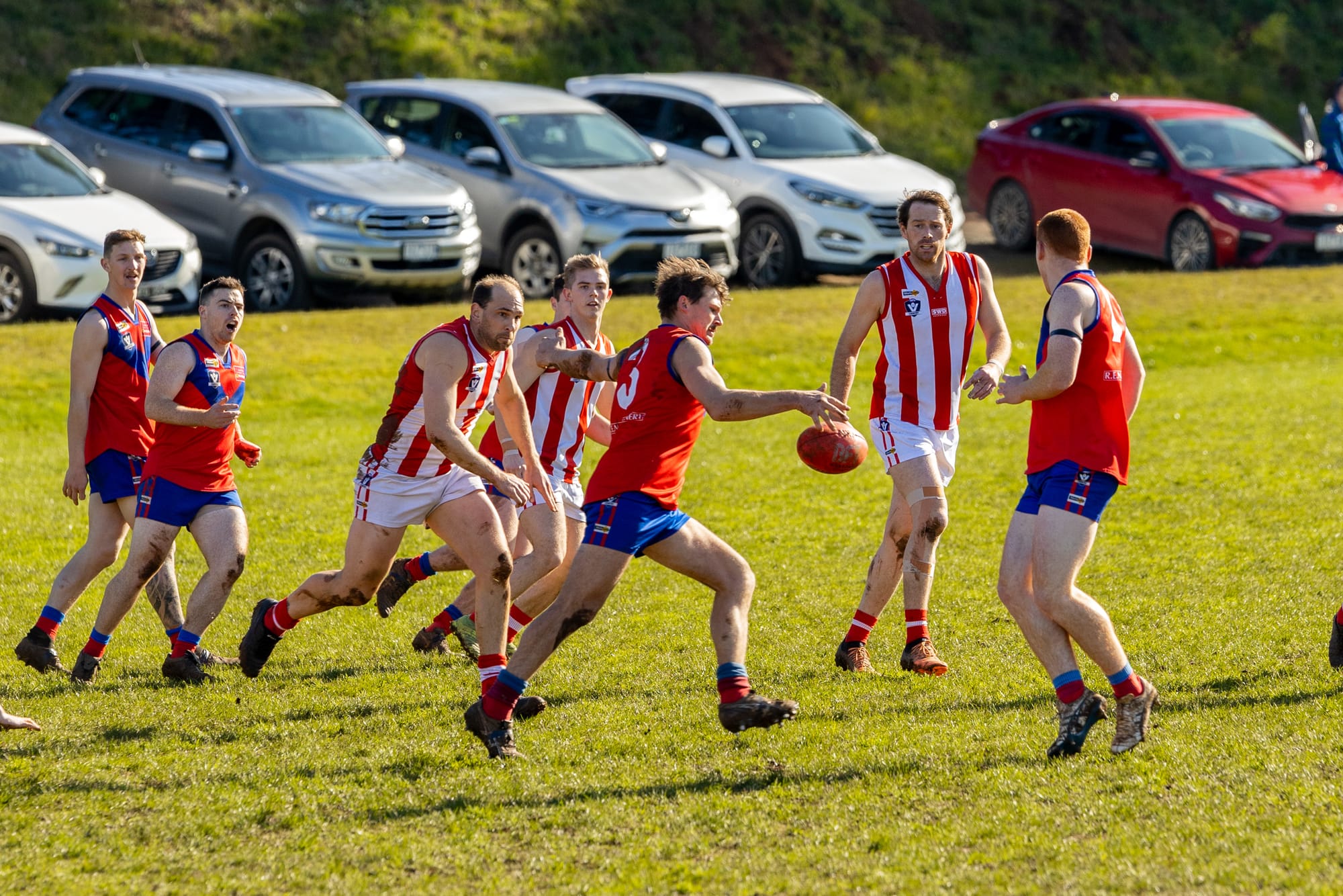 Will Lyrebirds or Bloods advance to take on Cats in EDFNL?