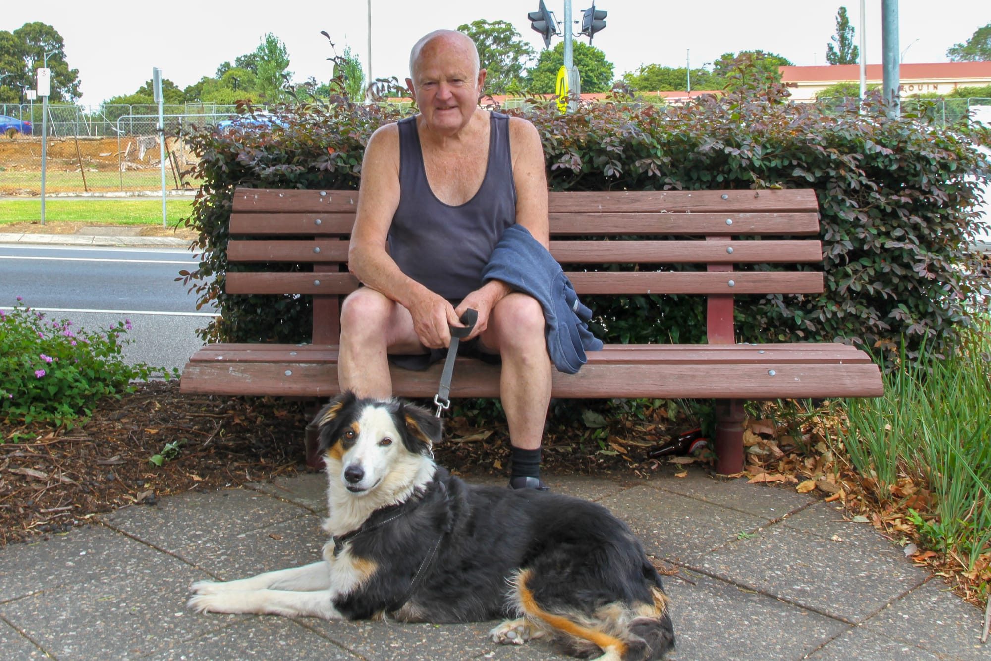 Call for owners to restrain dogs