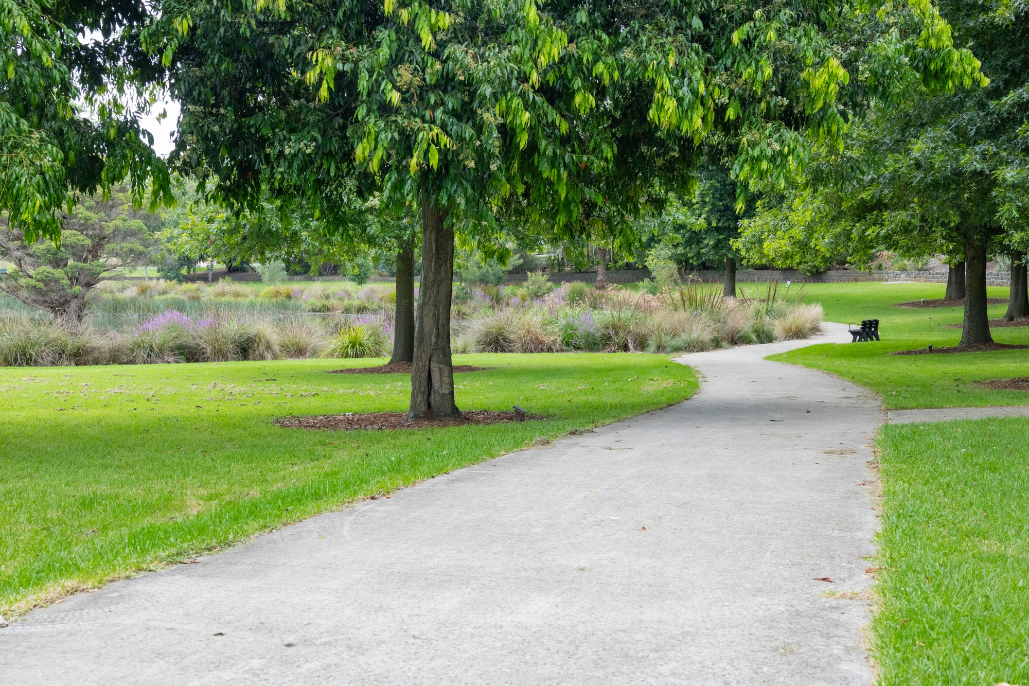 Feedback sought on park upgrade