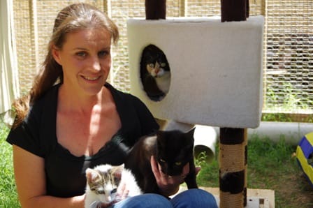 Home for cats and dogs