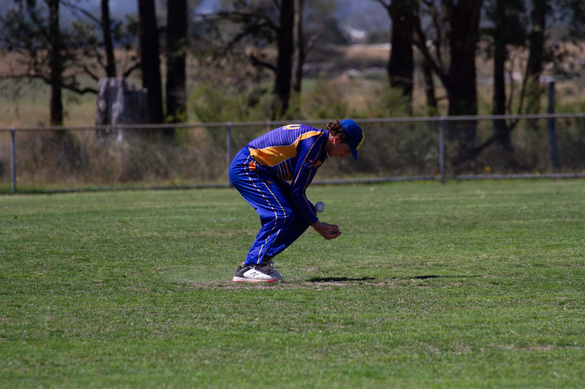 Cricket Div 1 Hallora Vs. Ellinbank - 19.03.2022