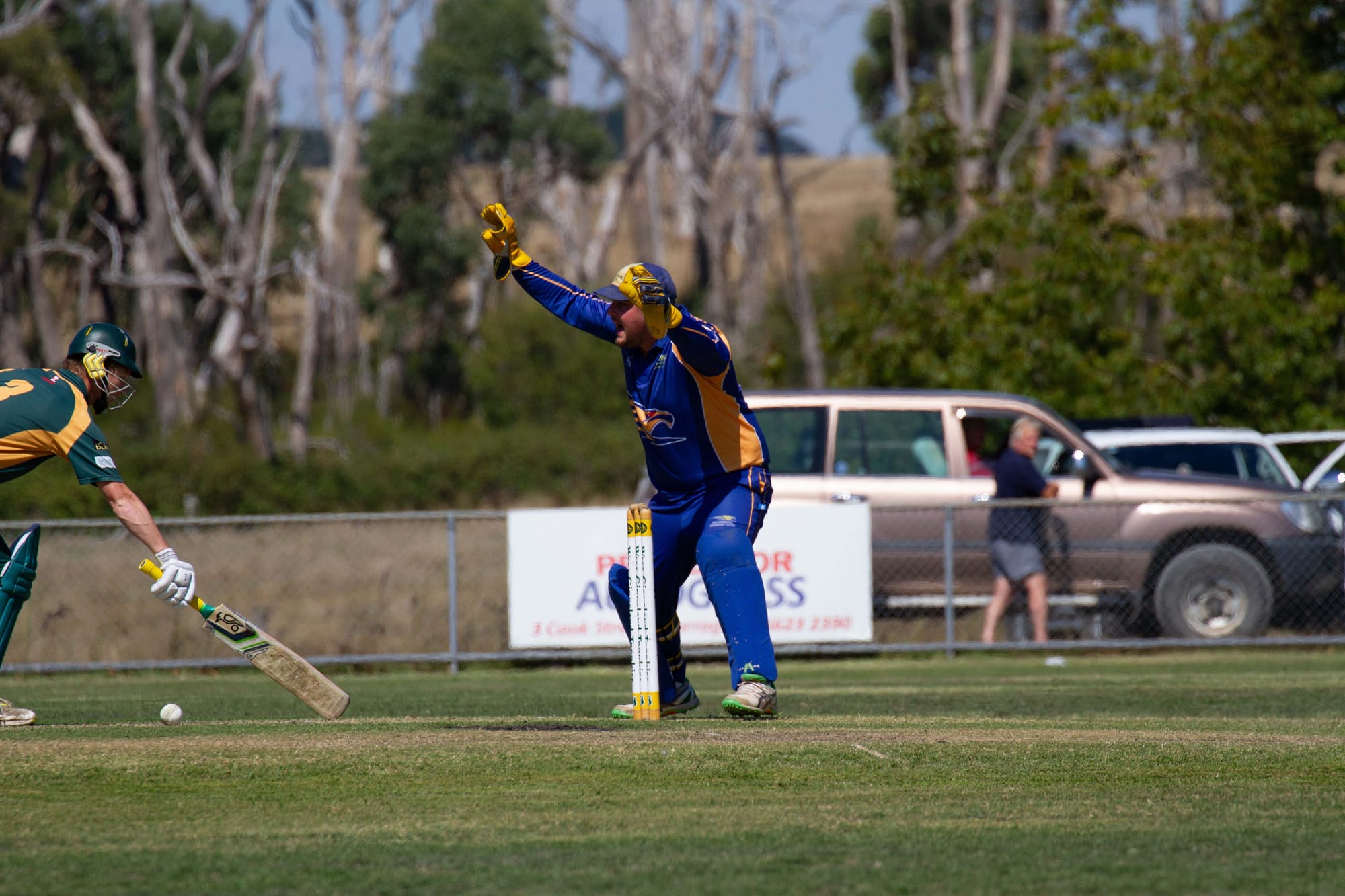 Cricket Div 1 Hallora Vs. Ellinbank - 12.03.2022
