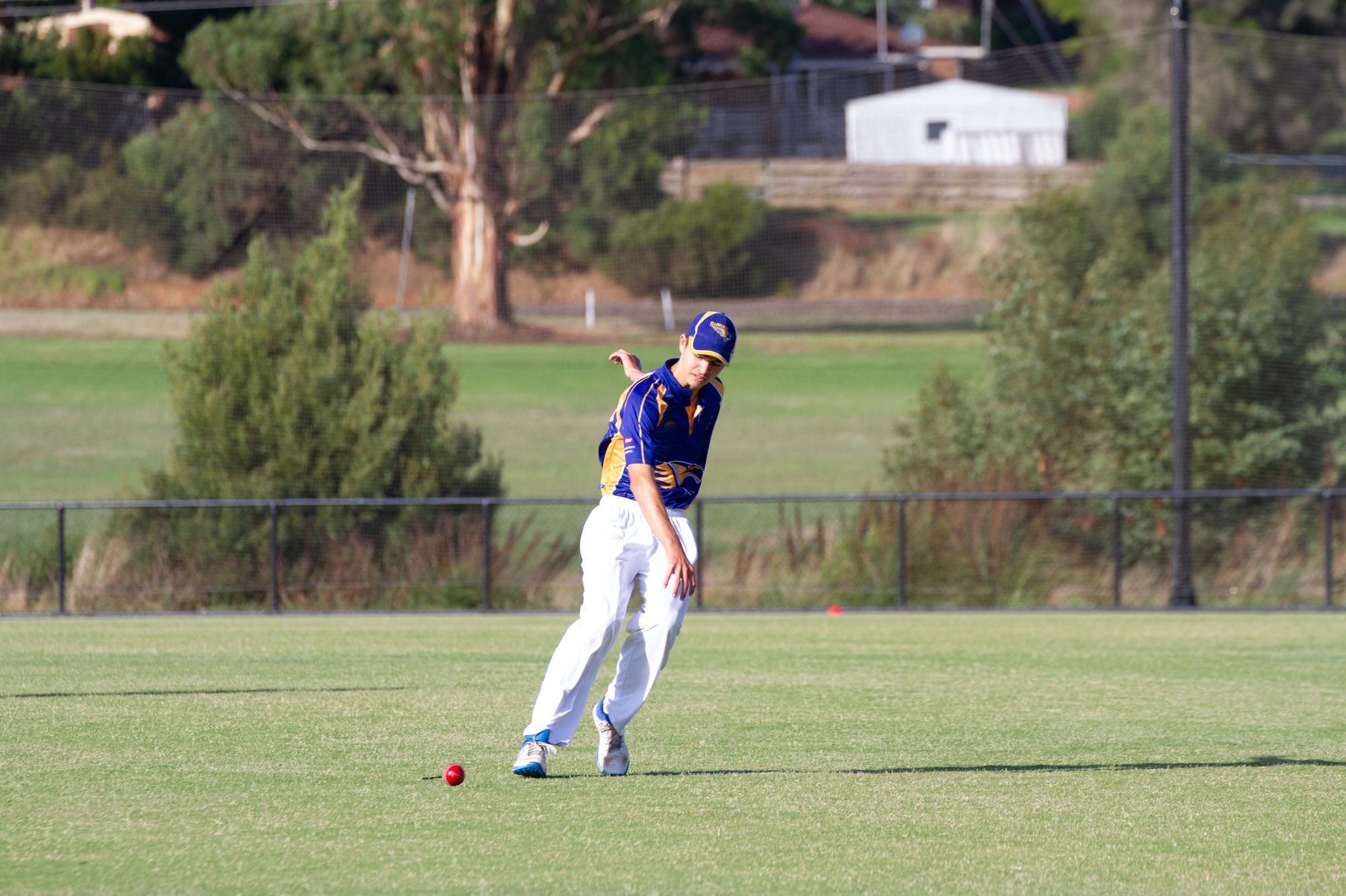 Cricket (U16's) Ellinbank Vs. Western Park - 19.03.2022
