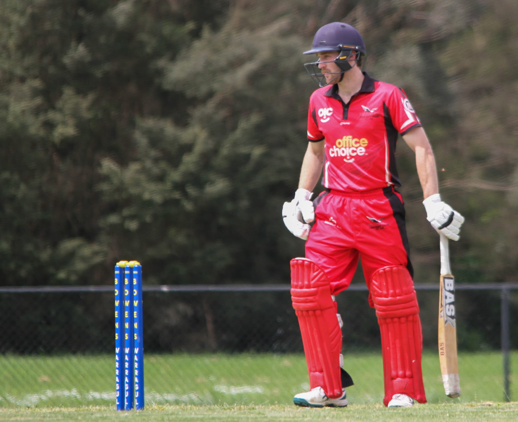 Hawks escape Gulls upset