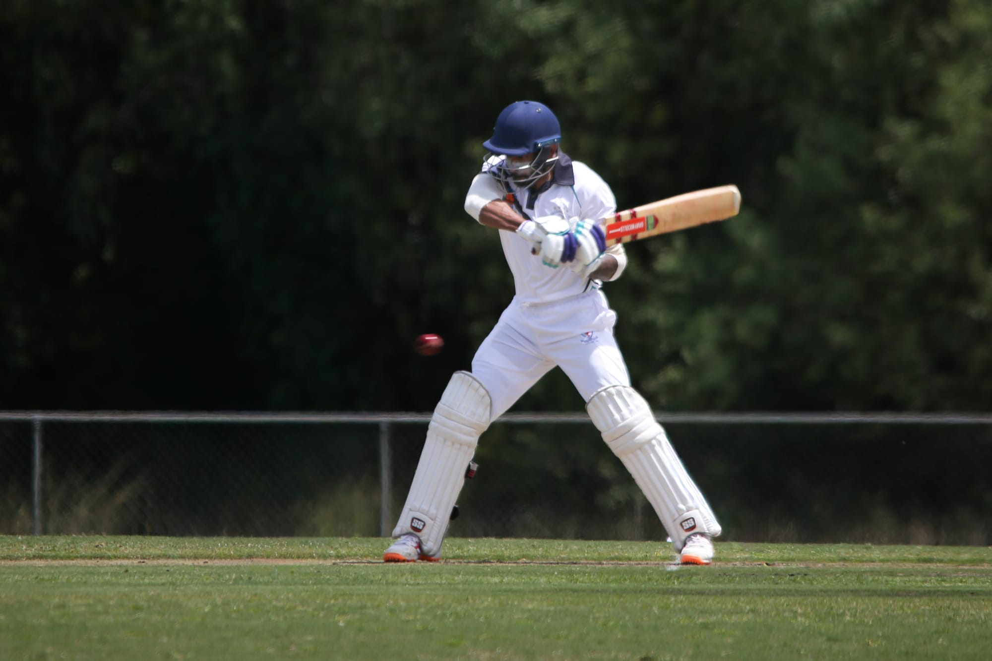 McGillivray masterclass lifts Gulls in division two