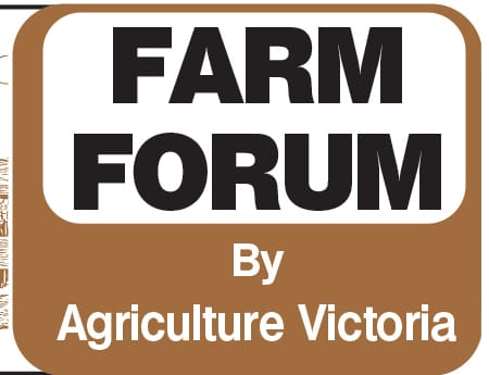 Current conditions enhance risk of pinkeye outbreak