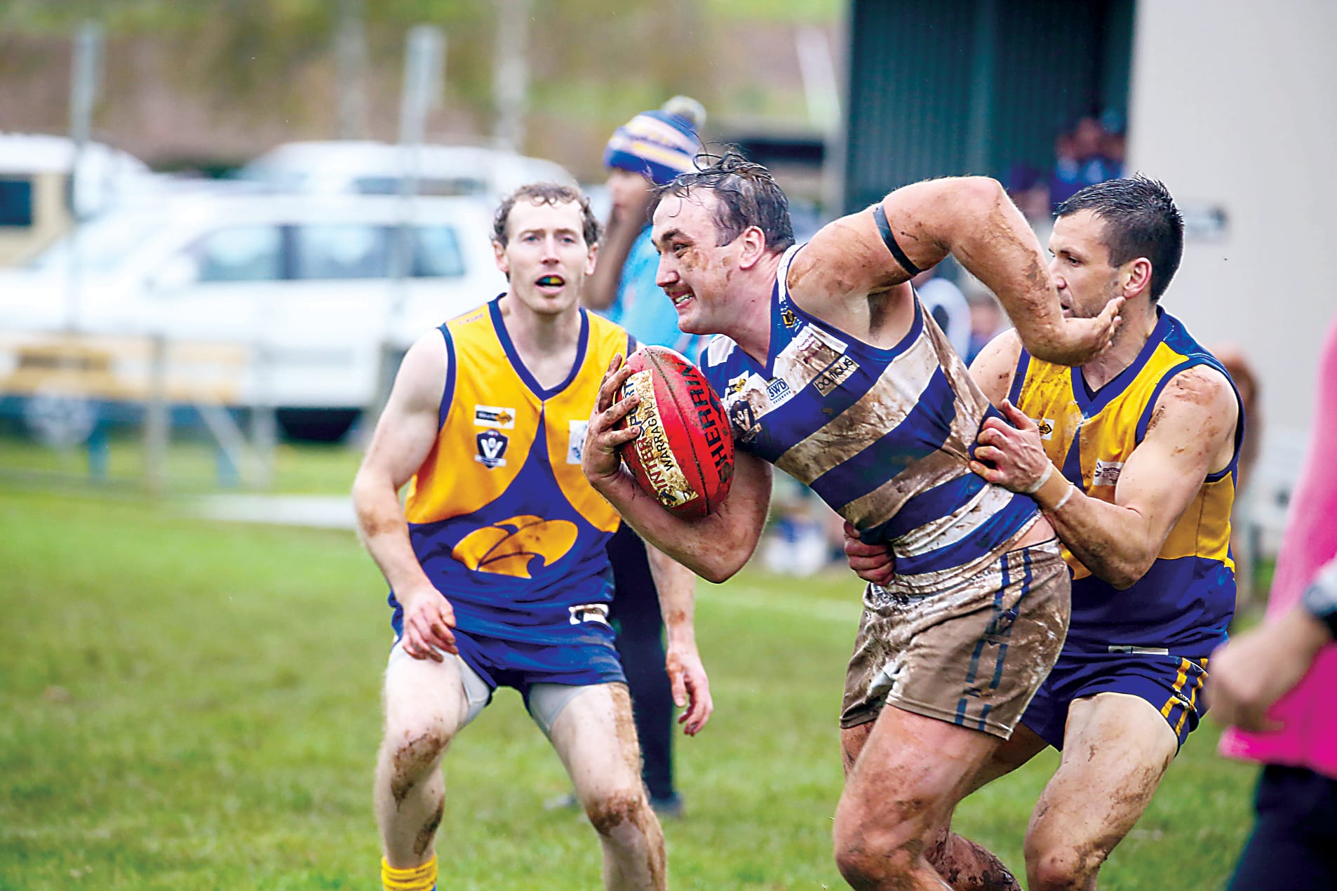 Bloods host Cats in match of the day