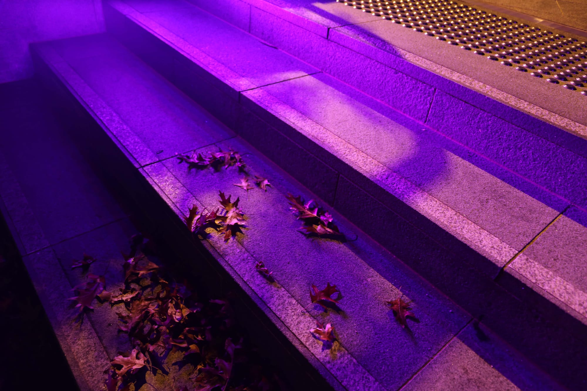 WGAC - Purple Lights - 03.05.2022