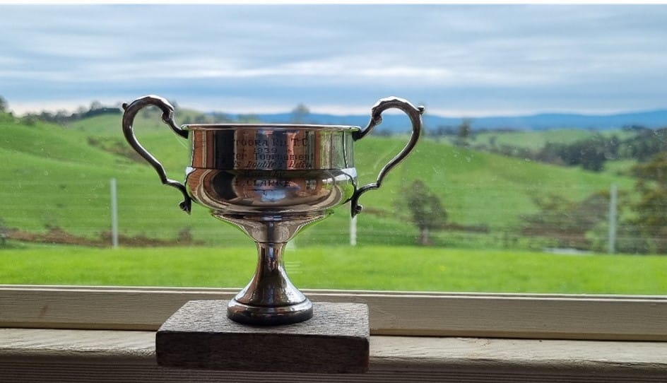 The trophy, all cleaned up and looking good as new, back in the scenic area of Baw Baw.