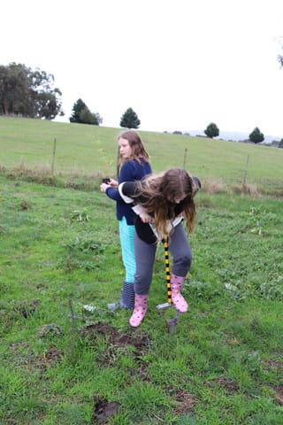 Tree Planting- 06.05.2021 