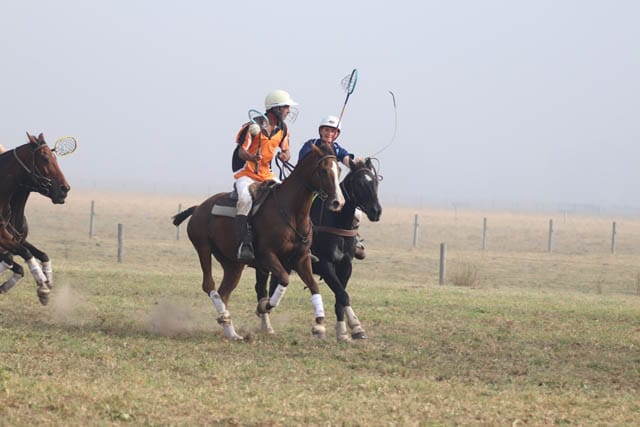 Polocrosse - 02.04.2024