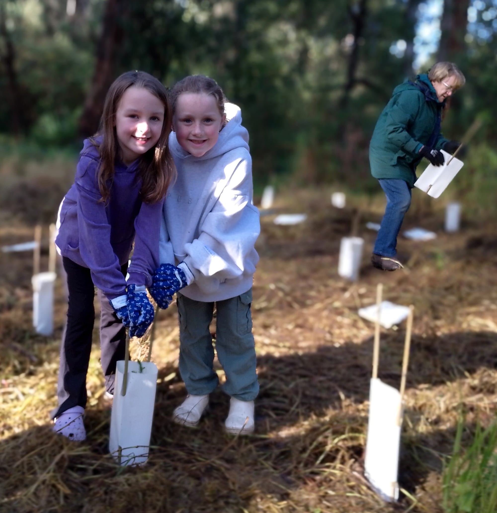 Rylee McHugh (left) and Milla Granger get busy planting native shrubs at Robin Hood Reserve for National Tree Day.