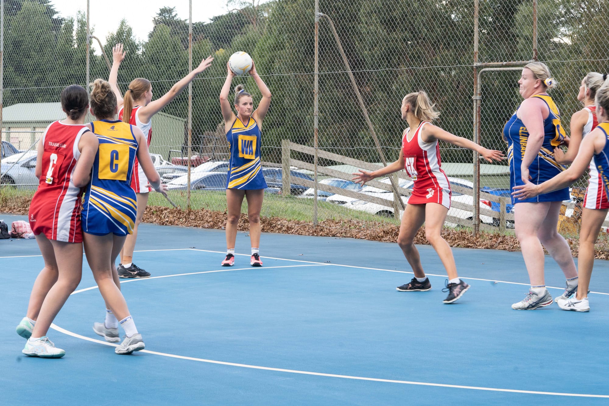 Netball EDFL