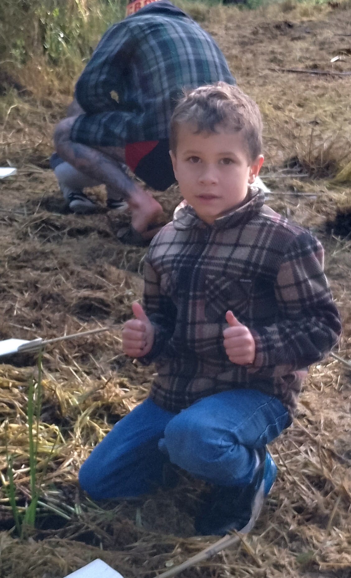 Volunteers brave cold to plant 800 trees