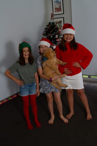 Christmas Photo -  16.12.2021