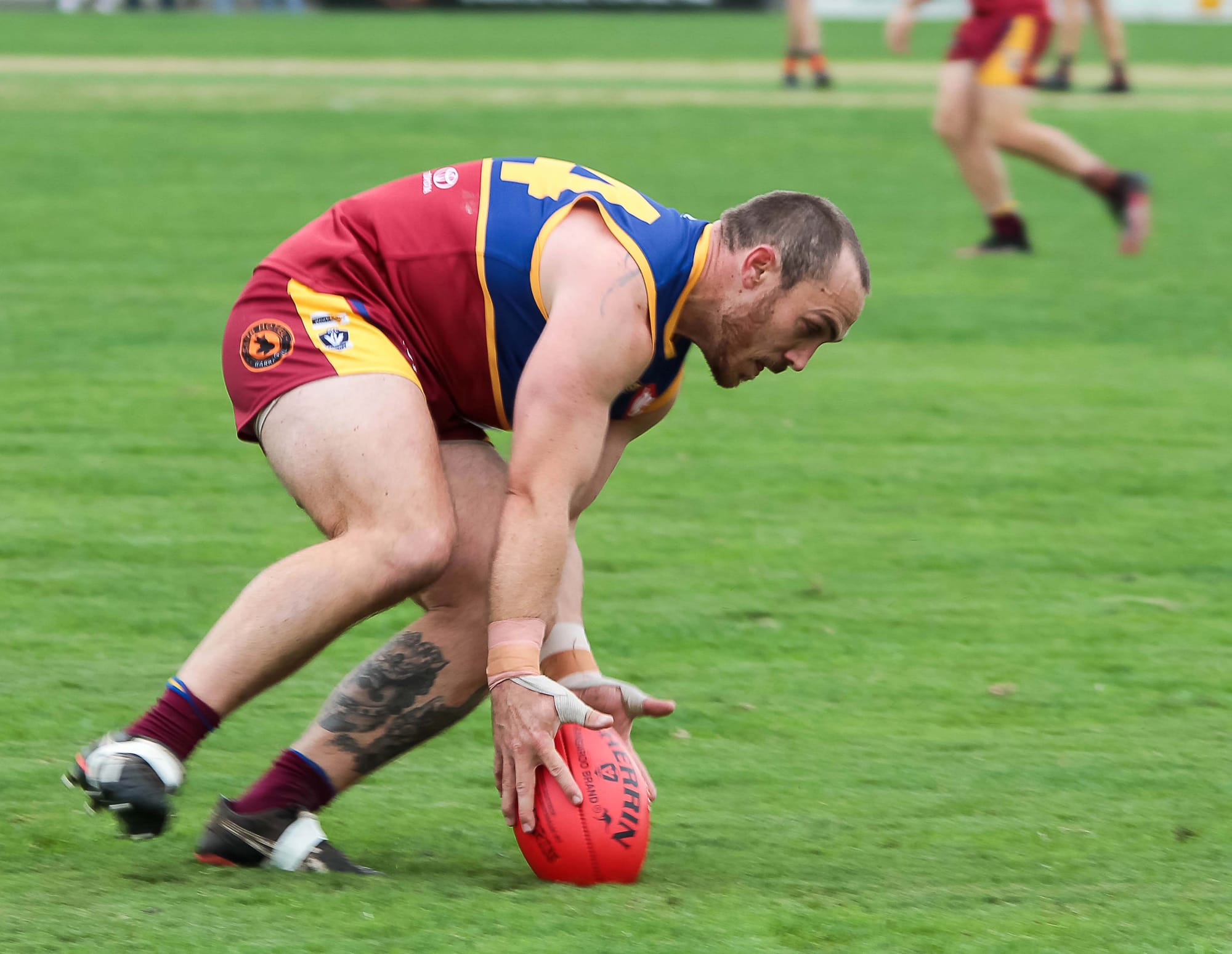 Football Seniors Dusties Vs. Korumburra - 30.04.2022