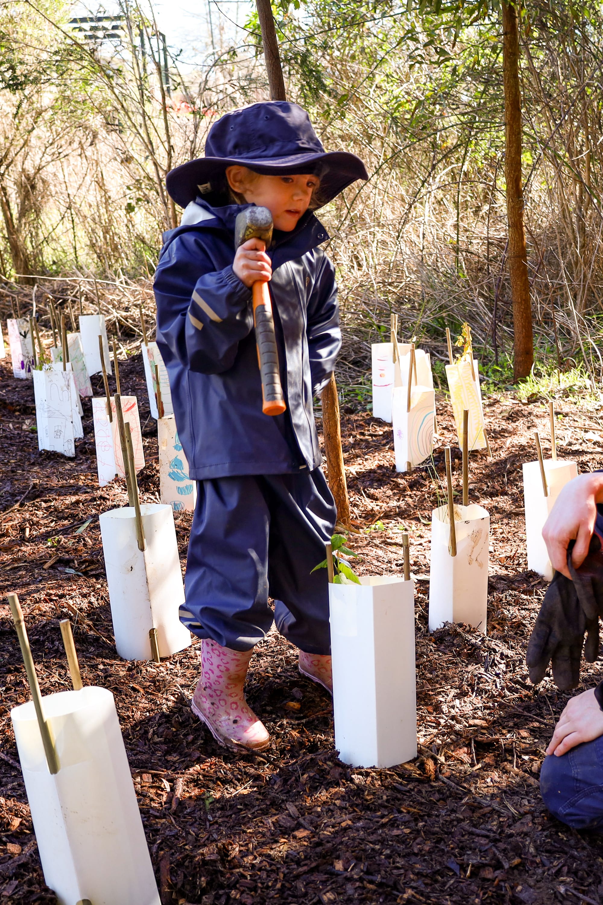 Sun shines for nature day