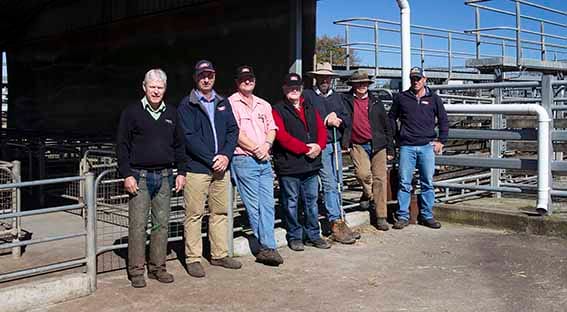 VLE defends Warragul Saleyards imminent closure