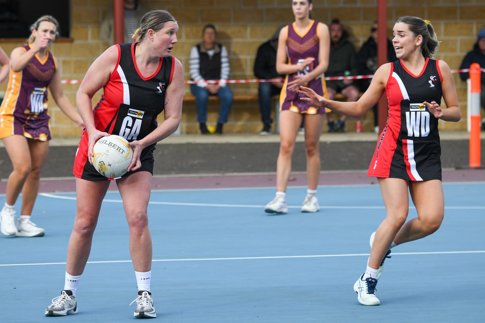 Disappointing day for Gulls