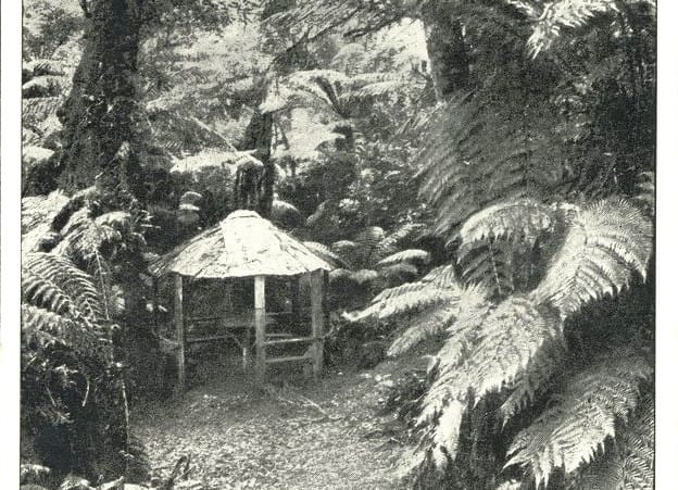 Snapshot of the past: Glen Nayook Reserve