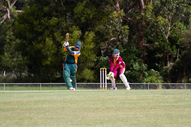 Cricket Div 2 Drouin v Hallora - 27.11.2021