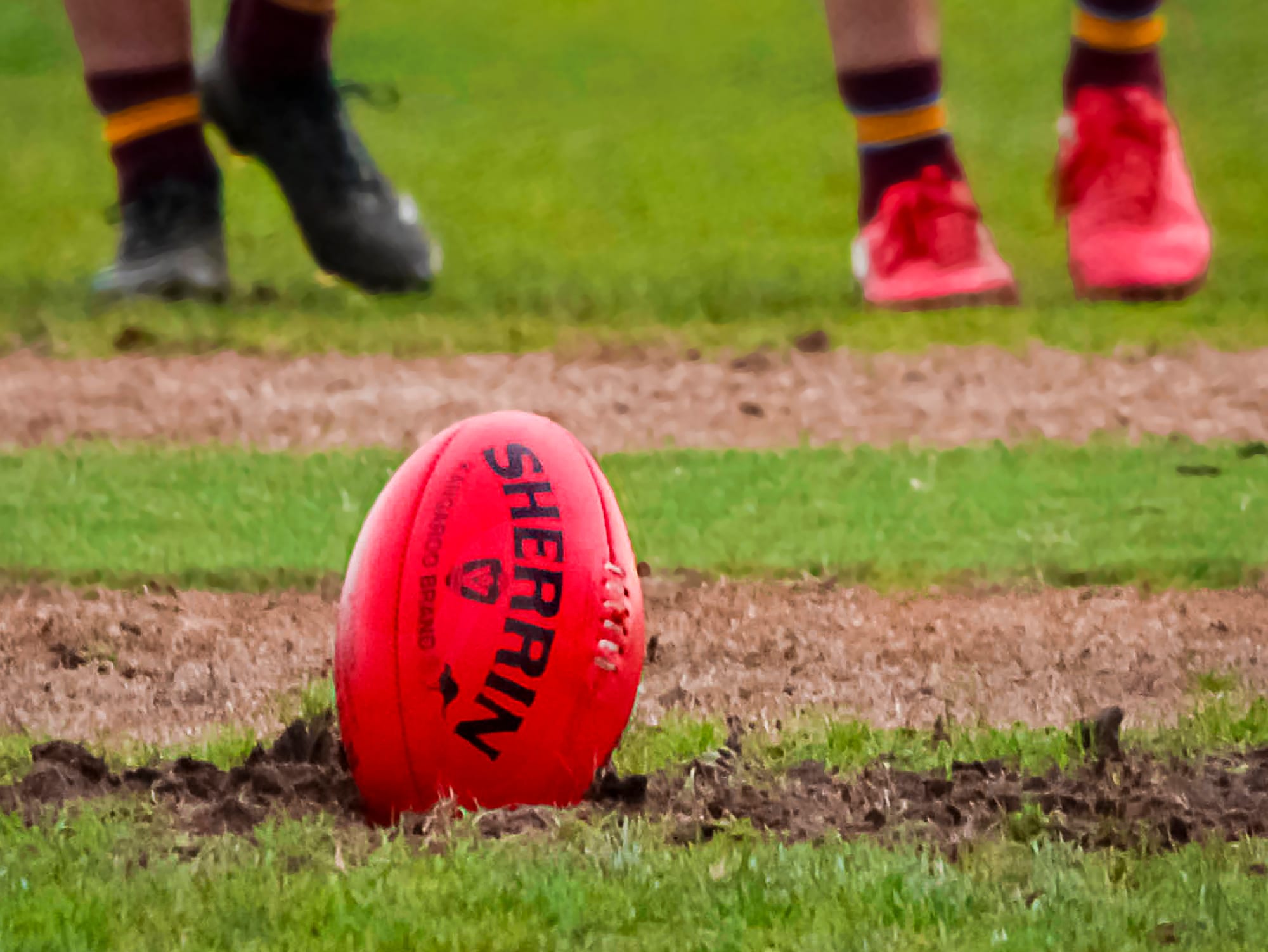 Gulls miss out in Magpie thumping