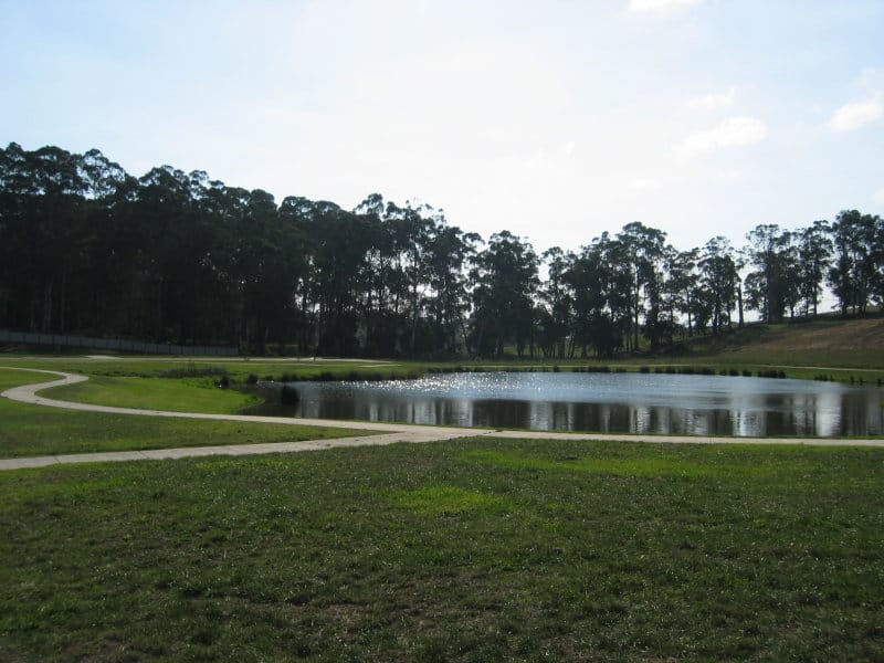 Petition seeks to stop road extension