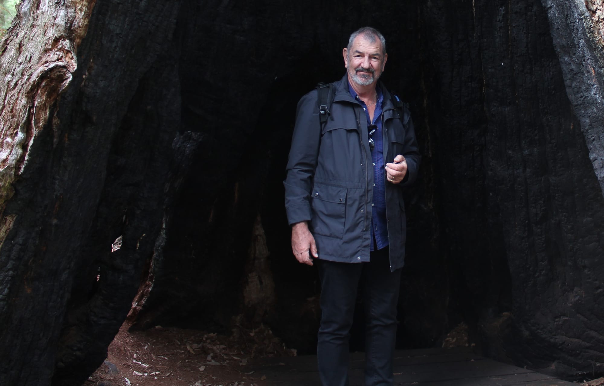 Higgins releases new album