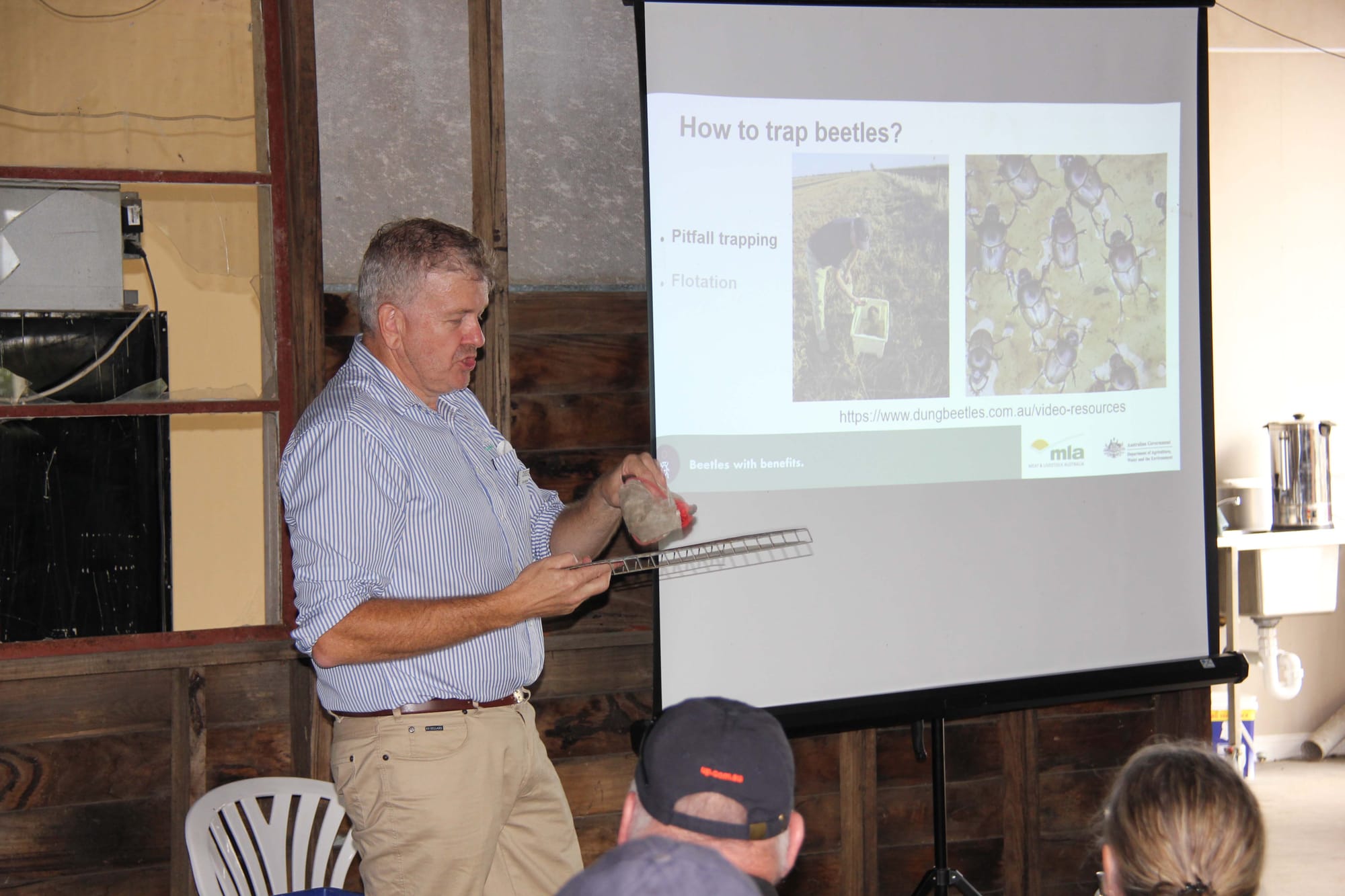 Dung Beetles - 15.03.2022