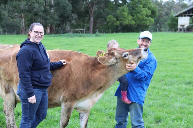 Gippsland Jersey Lebrocq - 03.08.2021