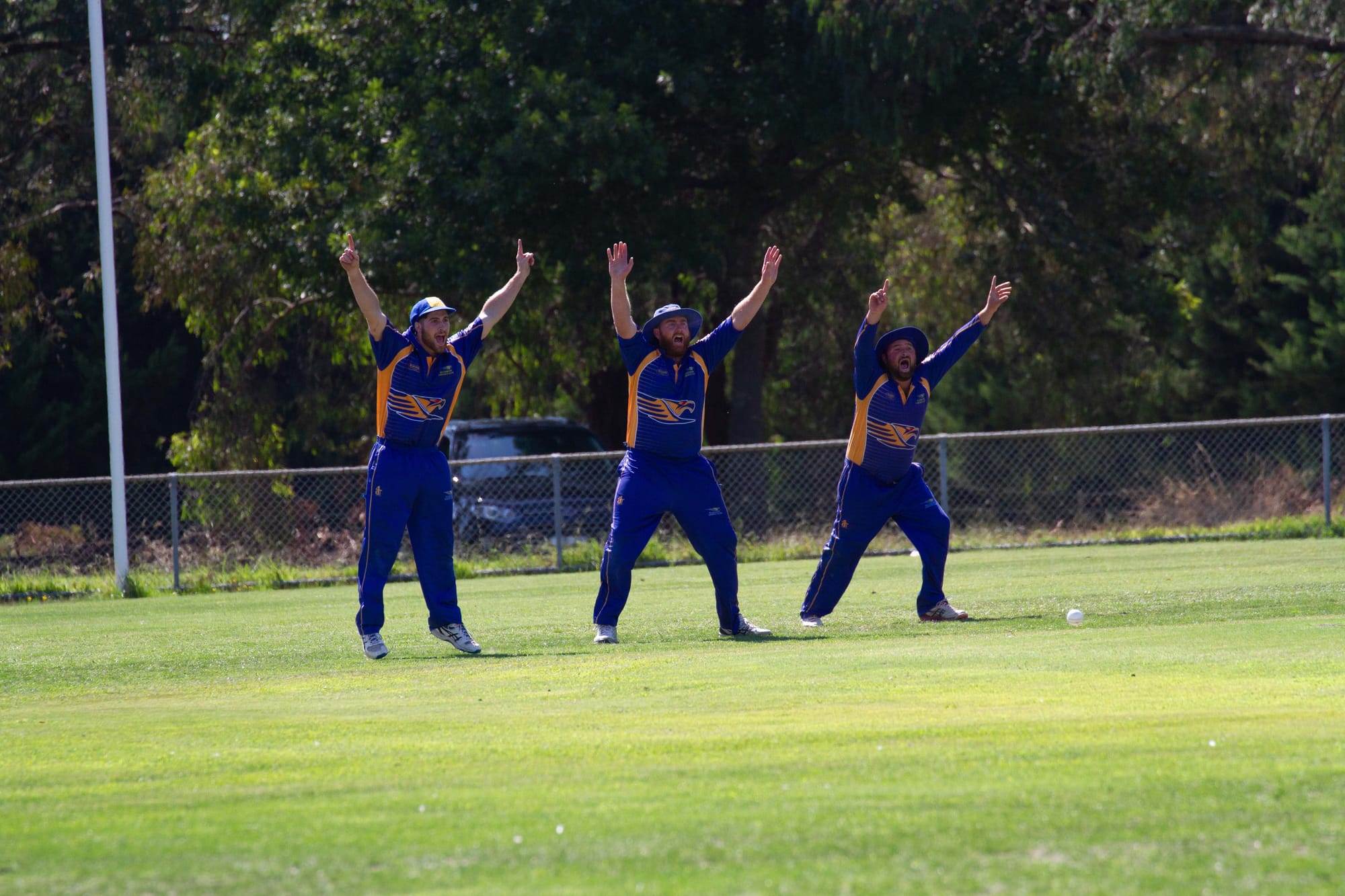 Cricket Div 1 Hallora Vs. Ellinbank - 19.03.2022