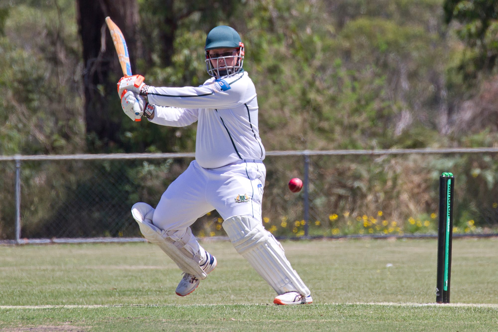 245 run opening stand sets up Hallora innings