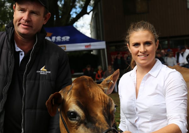 55th jersey show hailed a success