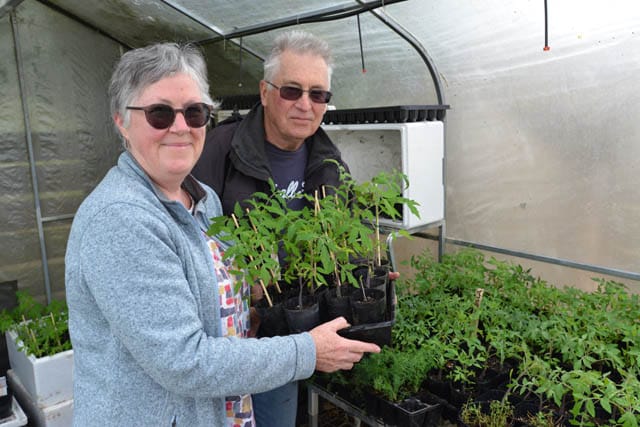 Plant Sale - 31.10.2023