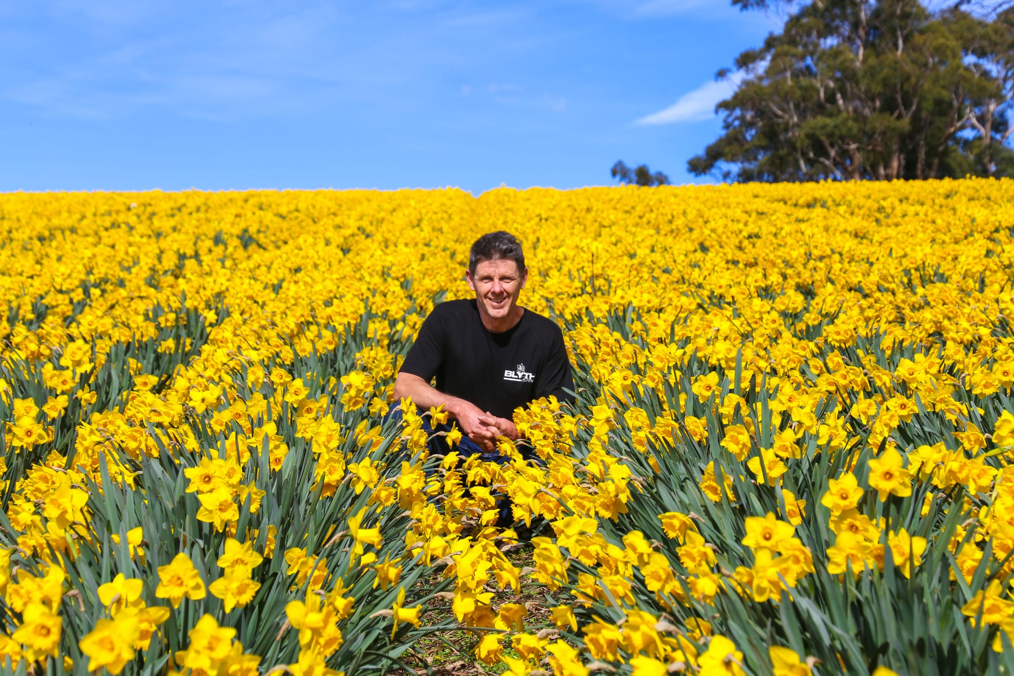 Out in the field of the family's Ellinbank flower farm is Nick Blyth.