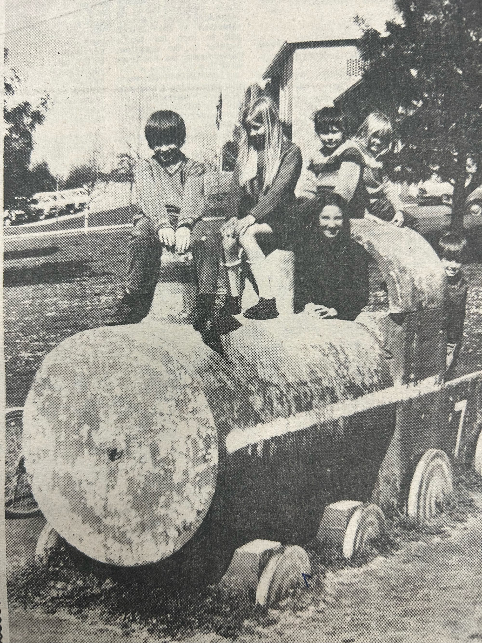 Snapshot of the past - Civic Park train