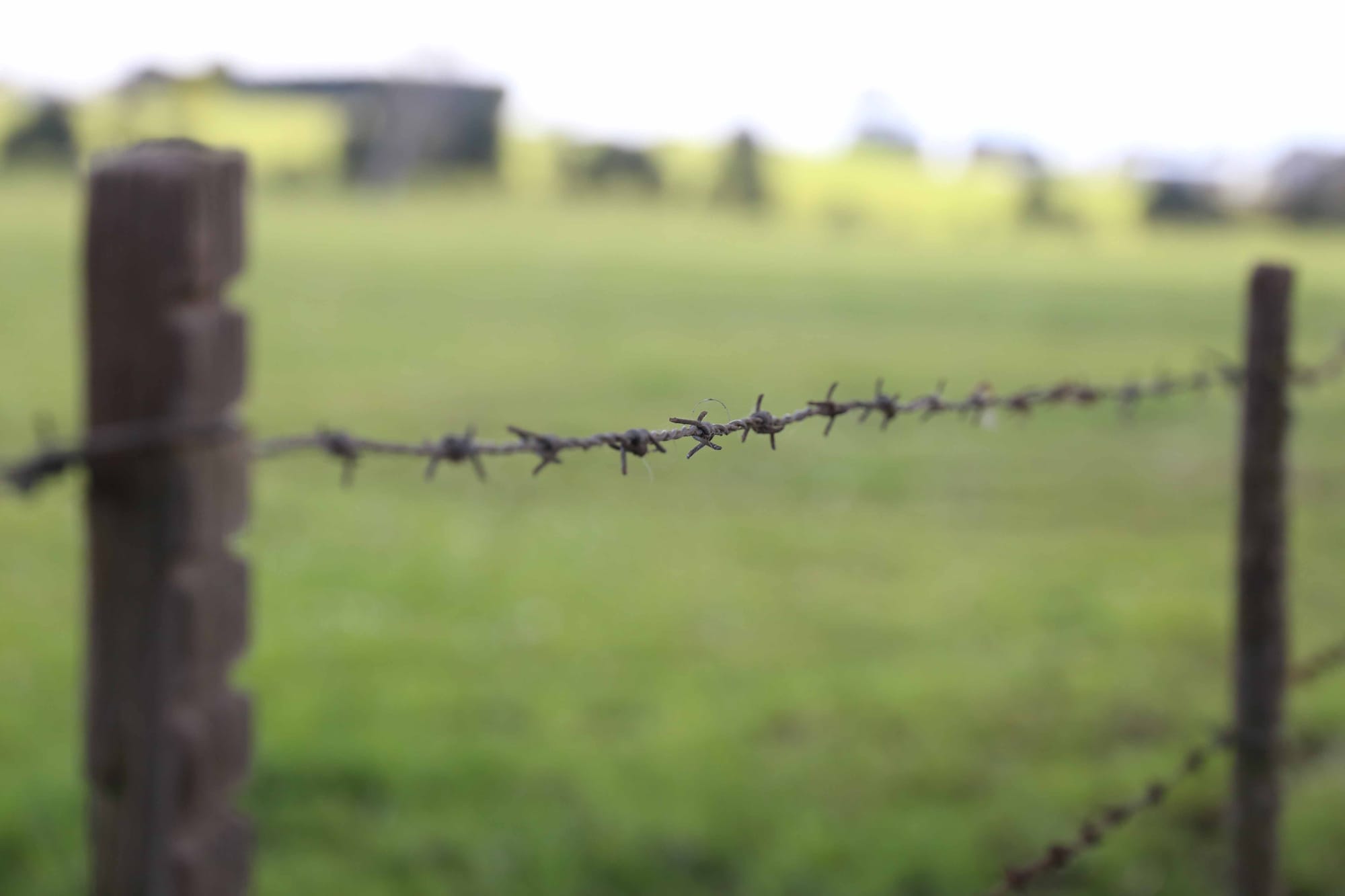 Anthrax a cause of sudden death