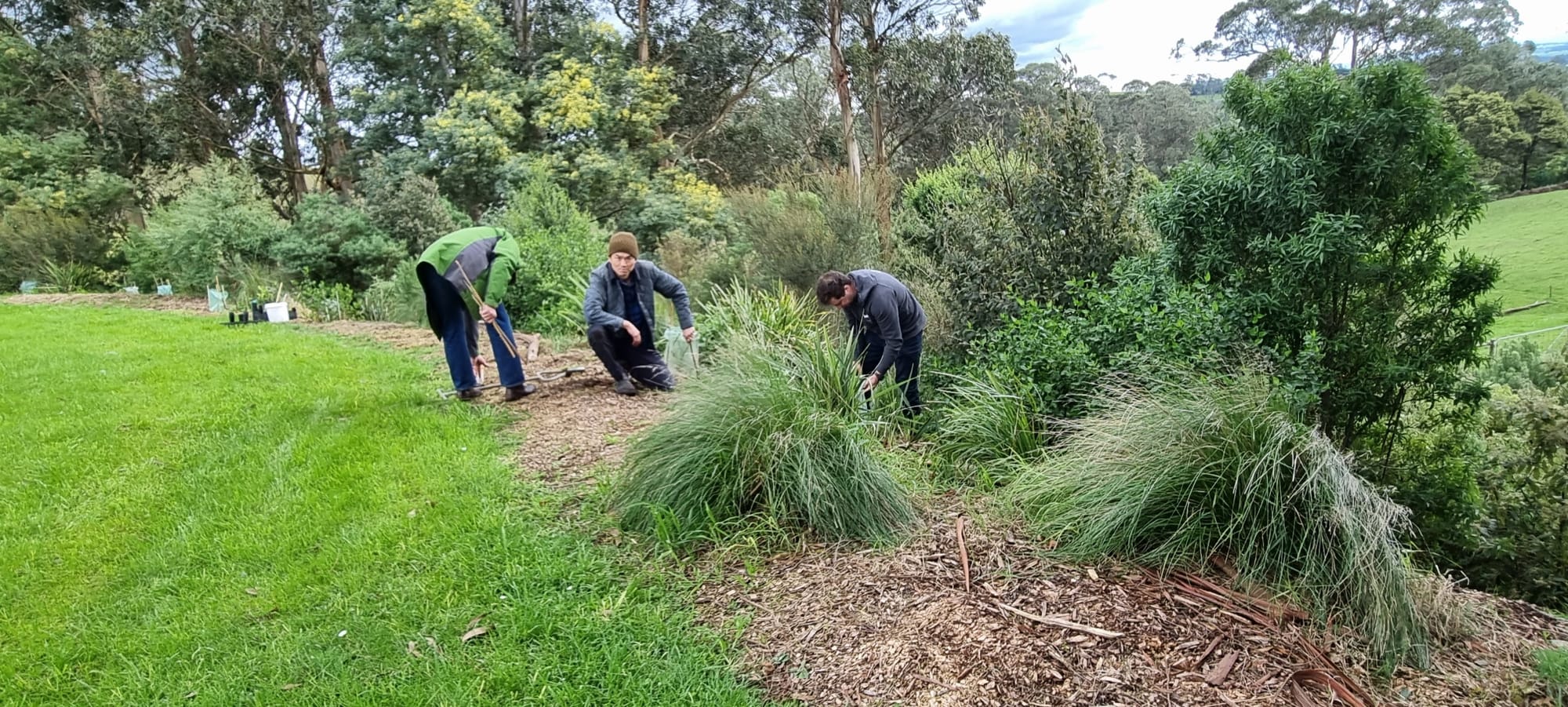 About 140 shrubs, 100 of which were from the Mount Worth and District Landcare Group, were planted in the grounds of the Tetoora Road hall during the annual community day with six members from the group helping out with the job.