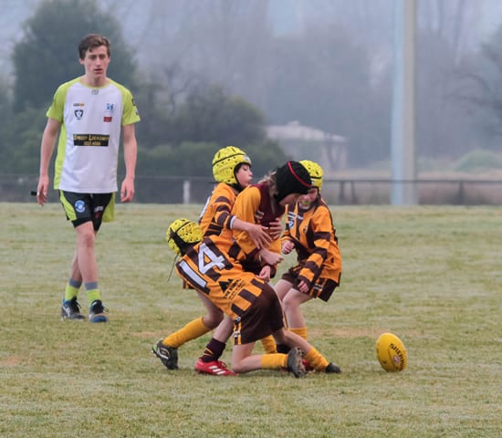 Football Juniors (U10's) Drouin Vs. Warranor - 19.06.2021