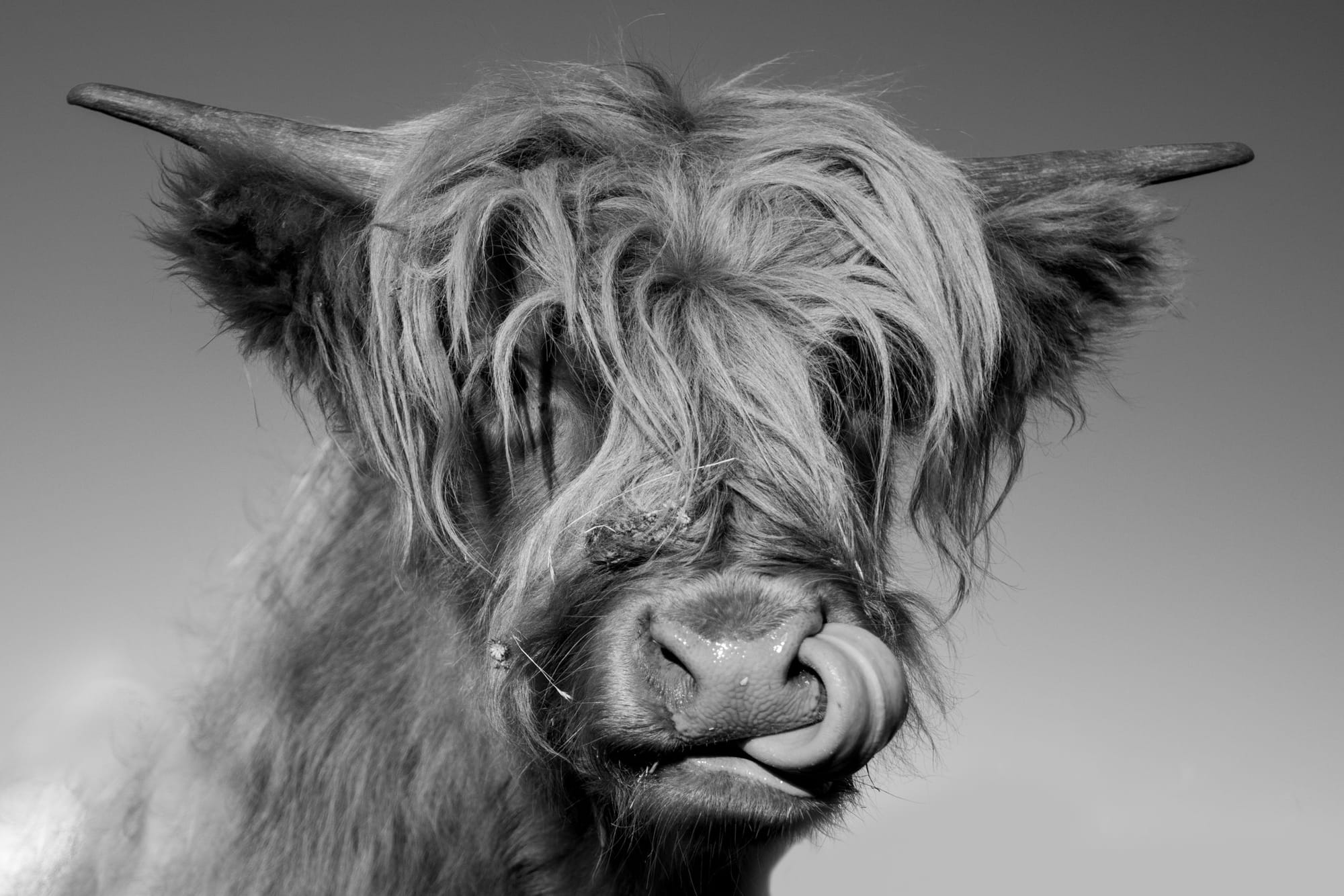 Cameron Mann took out first price in the Gazette's 2023 Readers' Photographic Competition with this shot.