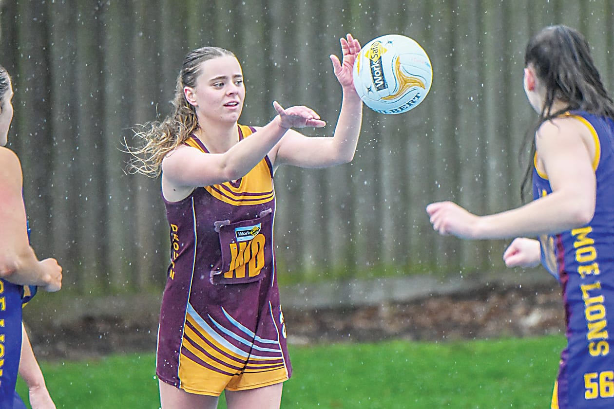 Hawks face league's best on the netball courts