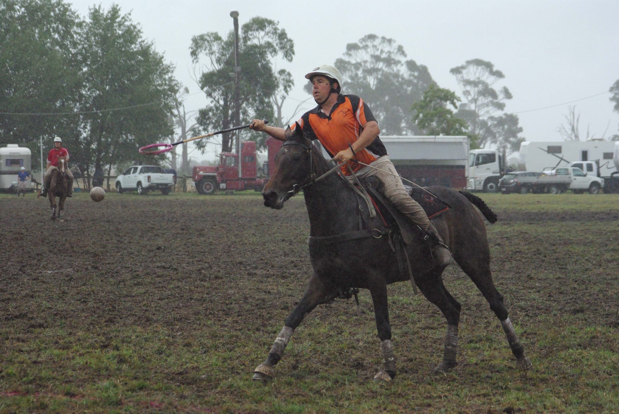 Traf Polox - 15.03.2022