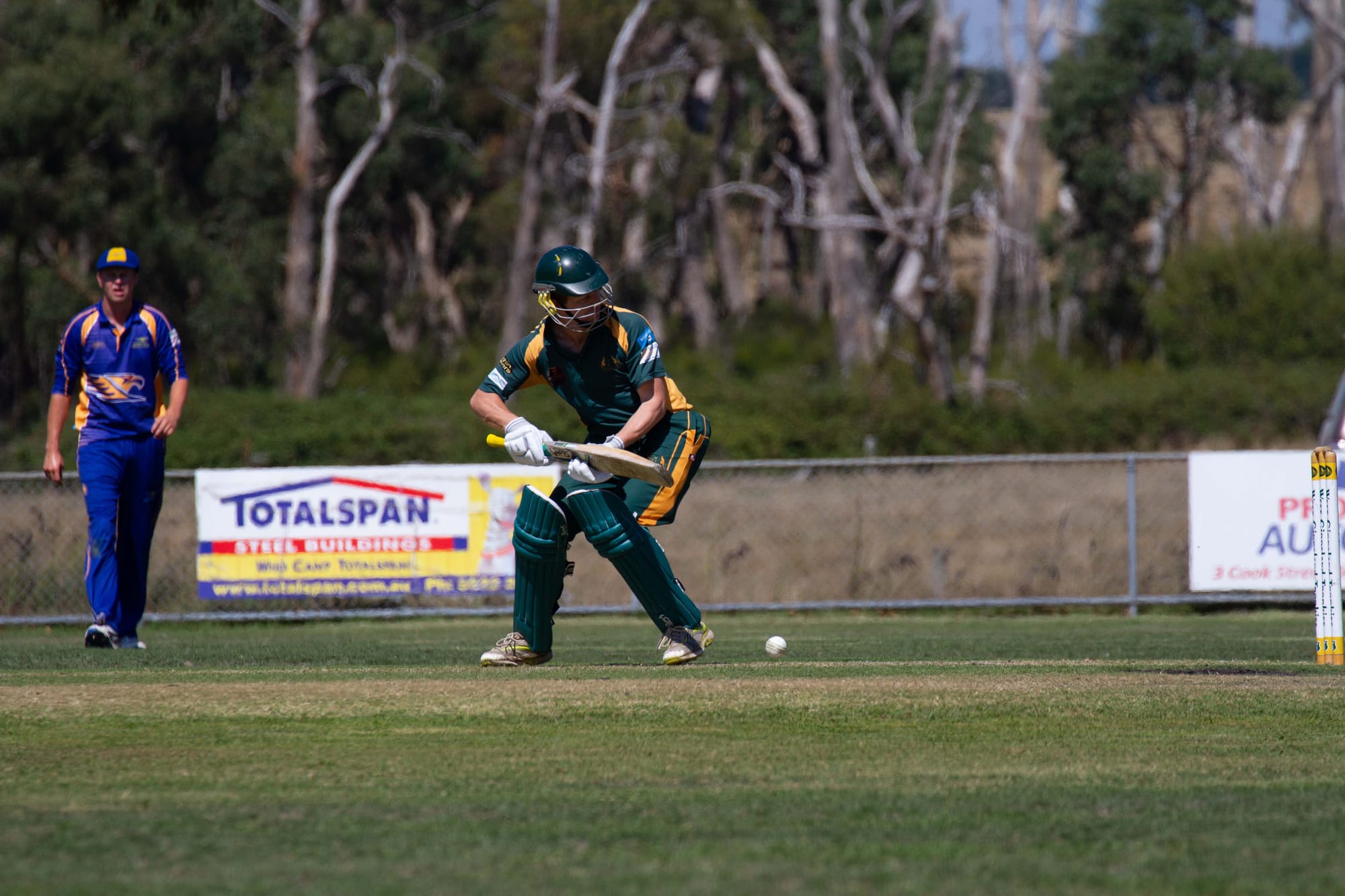 Cricket Div 1 Hallora Vs. Ellinbank - 12.03.2022