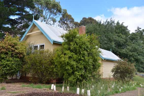 Neerim District Rural Primary School