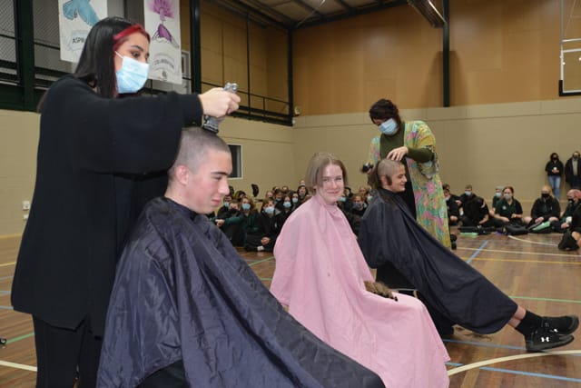 Traf head shave - 06.07.2021 