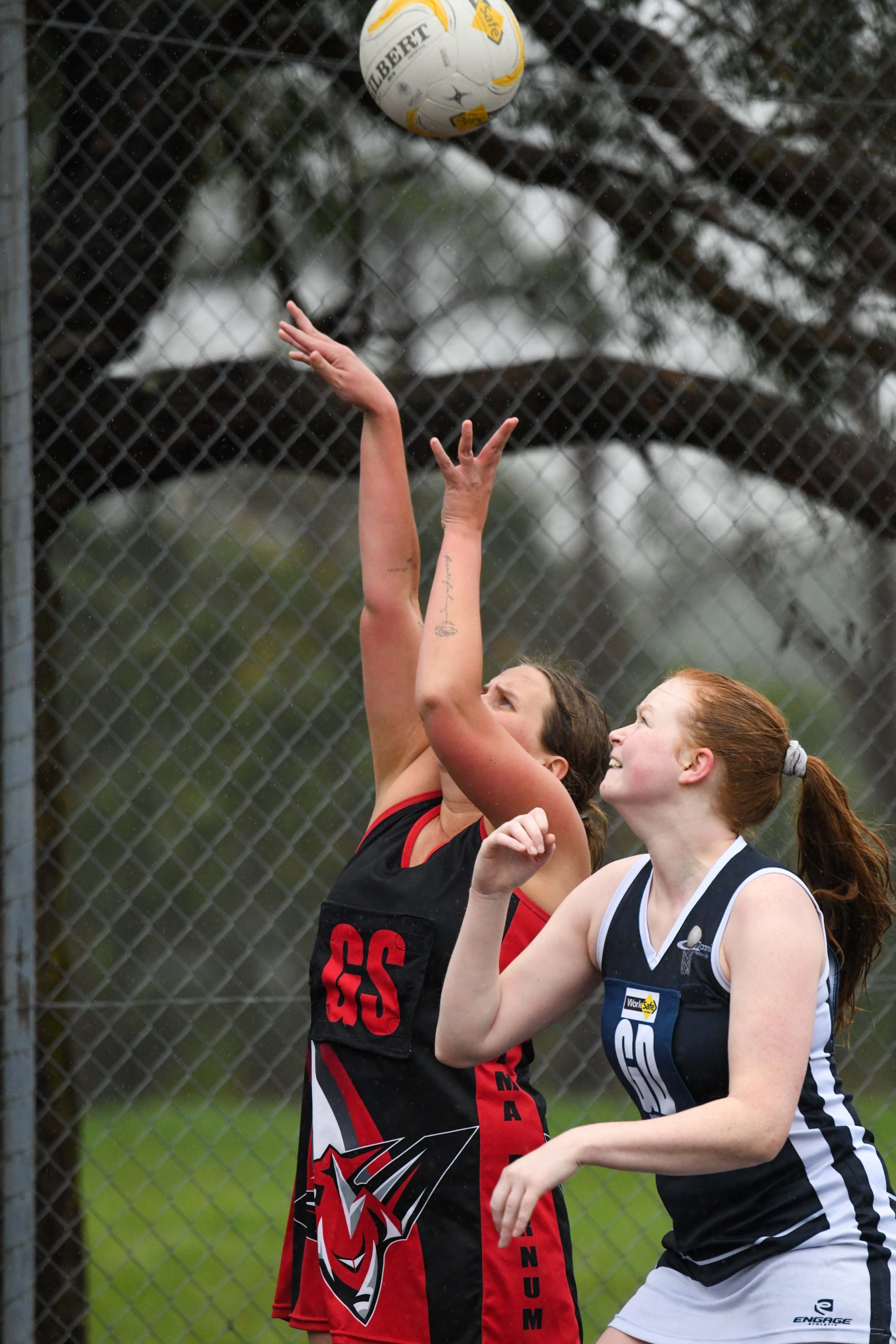 Netball EDFL C Grade Nilma Darnum Vs. Catani - 11.06.2022